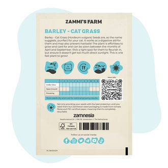 Jęczmień – trawa dla kotów (Hordeum vulgare) – nasiona