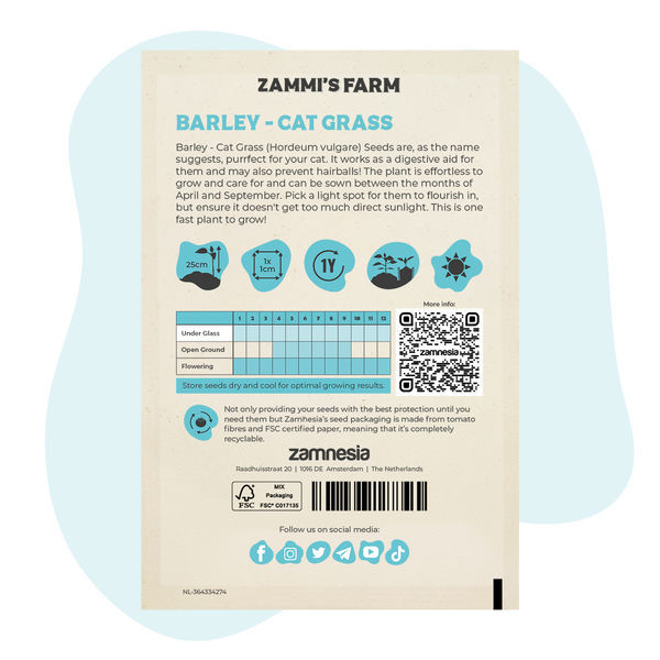 Jęczmień – trawa dla kotów (Hordeum vulgare) – nasiona