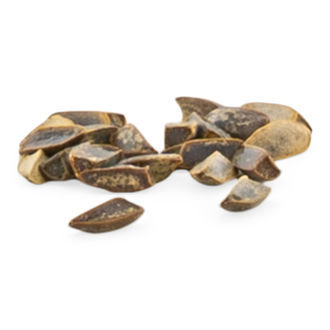 Nasiona dzikiego dagga (Leonotis leonurus)