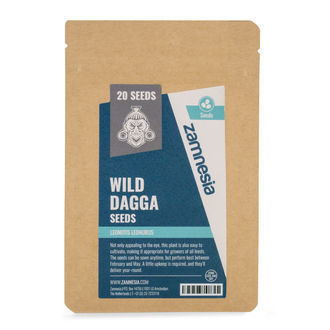 Nasiona dzikiego dagga (Leonotis leonurus)