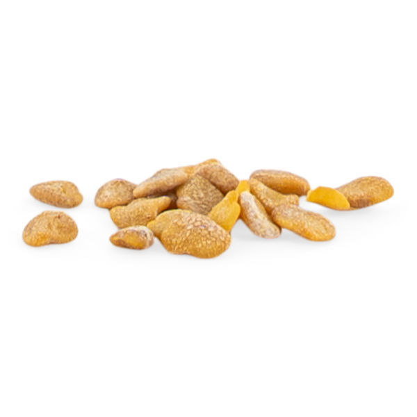 Ashwagandha (Withania somnifera) 20 nasion