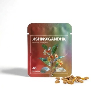 Ashwagandha (Withania somnifera) 20 nasion