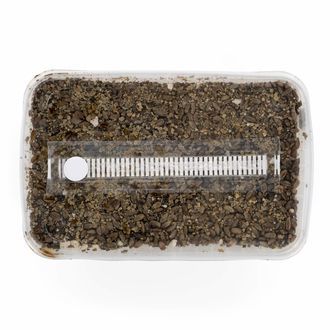 Zestaw ze sterylizowanym podłożem