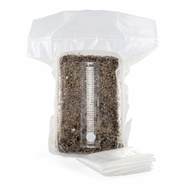 Zestaw ze sterylizowanym podłożem