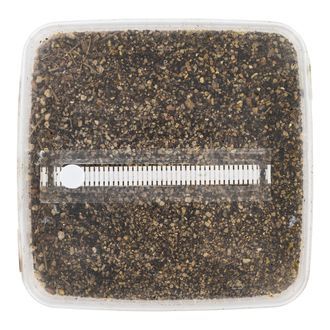 Zestaw ze sterylizowanym podłożem