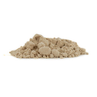 Calamus – tatarak zwyczajny (Acorus calamus)