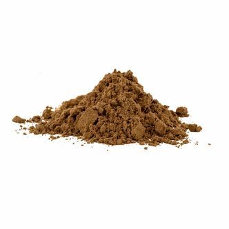 Proszek z hubiaka pospolitego (Fomes fomentarius)