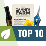 Top 10 nasion roślin