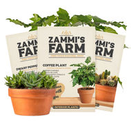 Nasiona roślin domowych