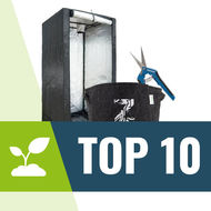 Top 10 Hodowla i Uprawa