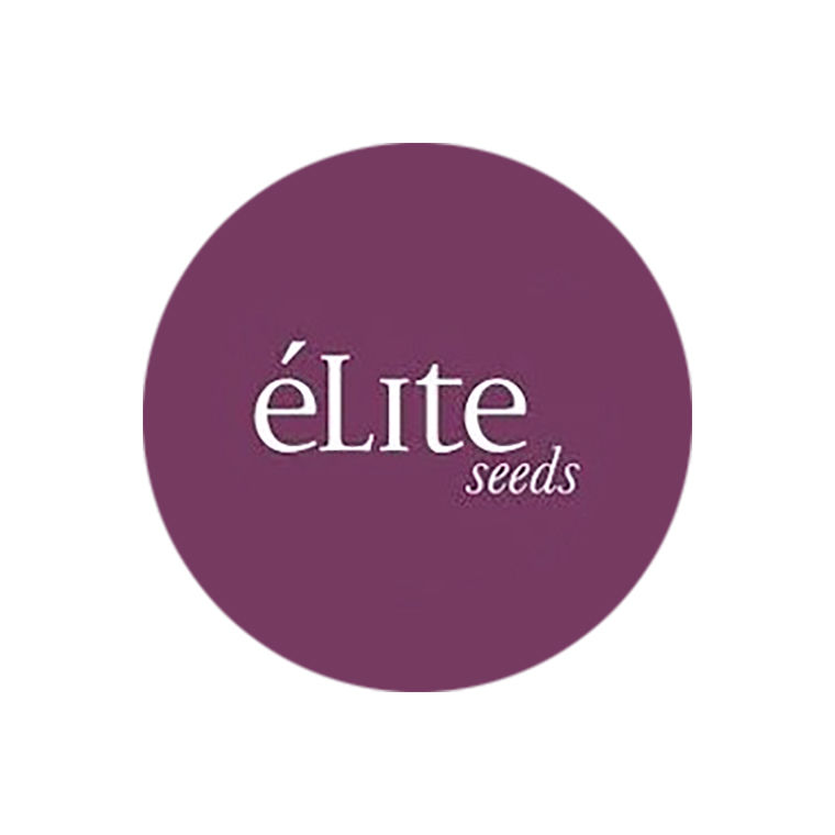 Elite Seeds