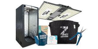 Top 5 hodowla i uprawa