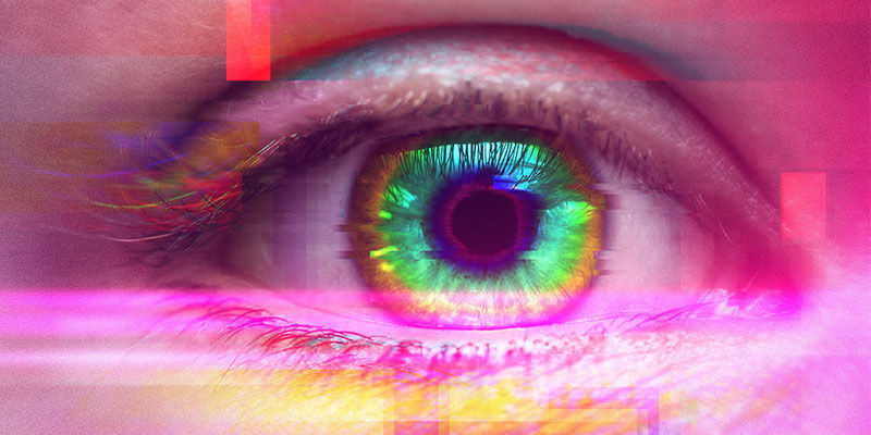 Jakie są efekty spożywania Psilocybe cubensis?