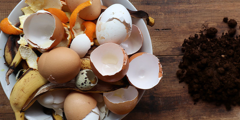 Kompost — domowy nawóz numer 1