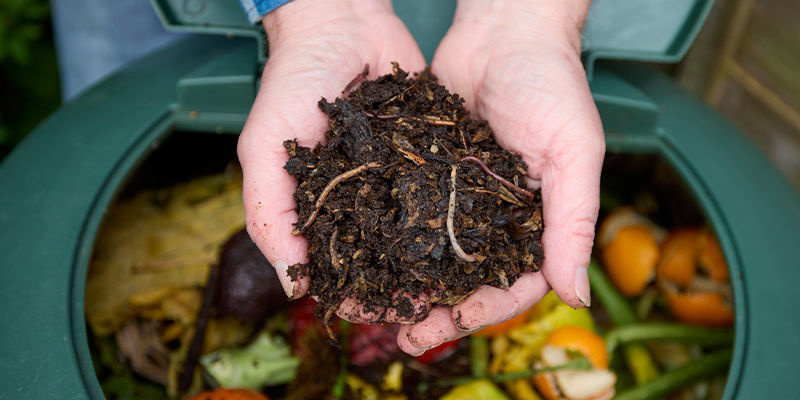 Dlaczego warto robić własny nawóz do marihuany?