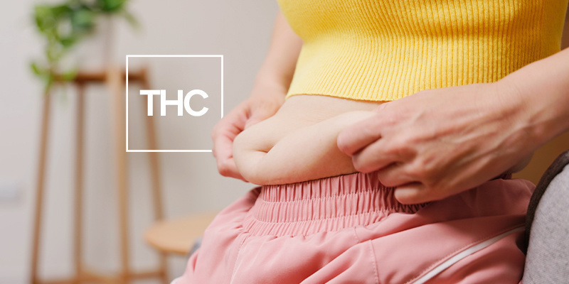 Fat cell flashbacks Fat cell flashbacks