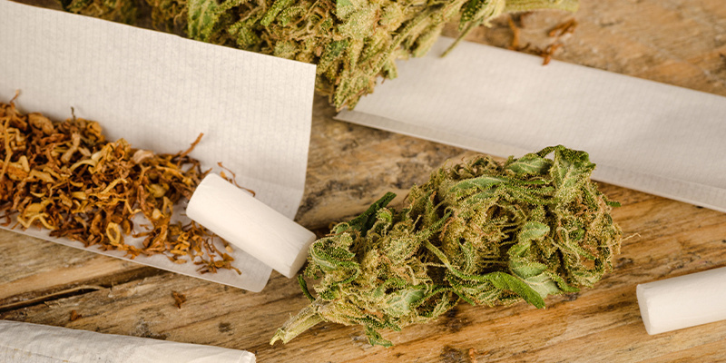 Tobacco increases the effects of cannabis Tobacco increases the effects of cannabis