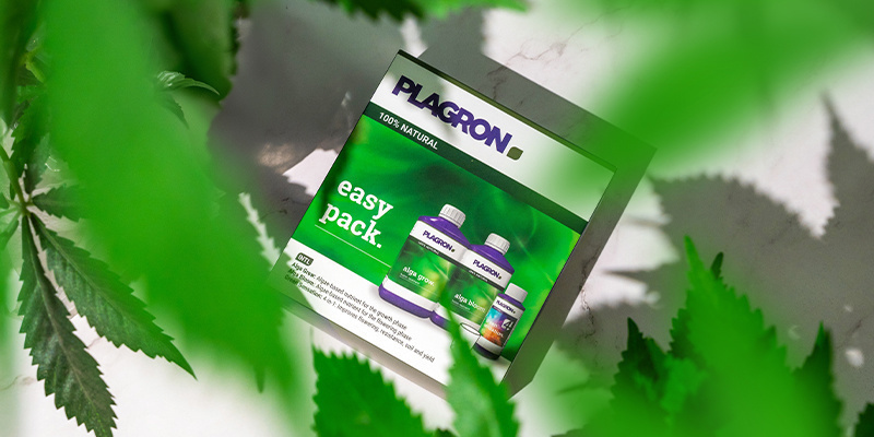 Uprawa organiczna: łatwiejsza niż kiedykolwiek Uprawa organiczna: łatwiejsza niż kiedykolwiek