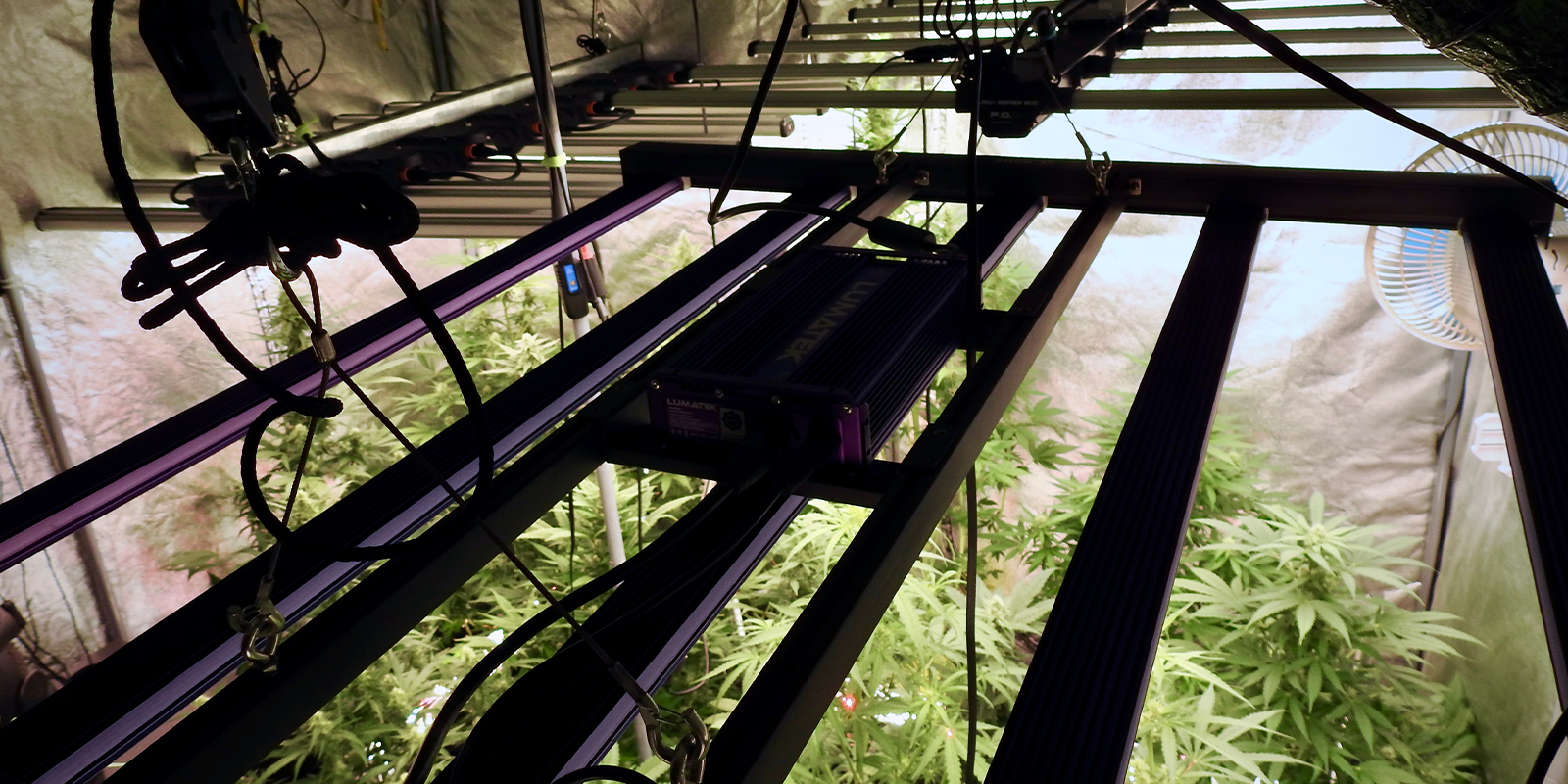 1. Sprawdź swoje otoczenie