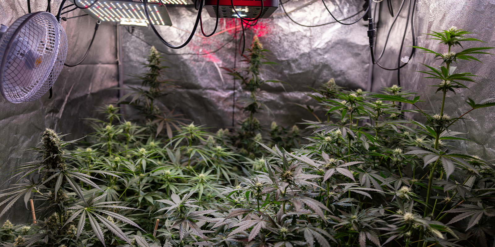 3. Wprowadzaj drobne, celowane korekty