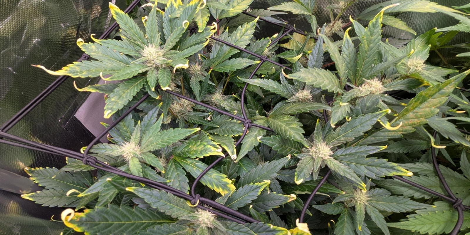 Kiedy zacząć się martwić