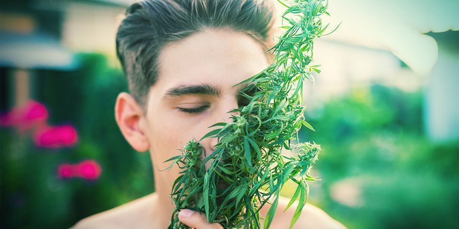 Inne akcesoria przydatne przy uprawie indoor