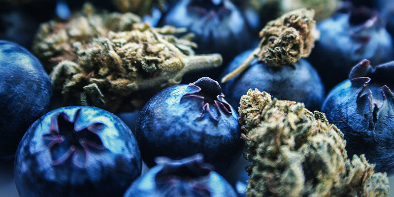 Blueberry: Smak i efekty