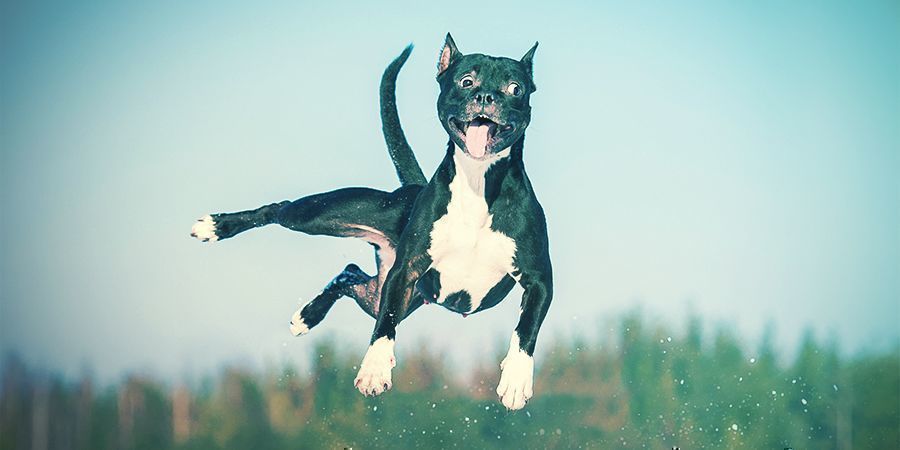 Co mówią eksperci?