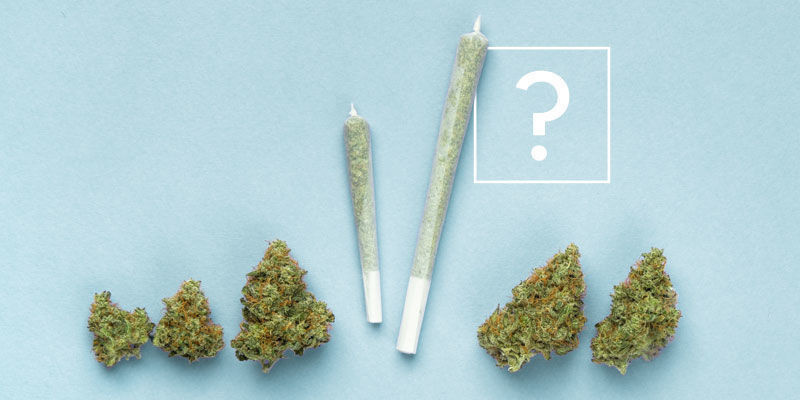 Ile jointów skręcisz z grama marihuany?