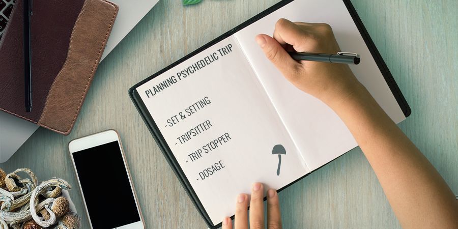 Planowanie Twojej podróży psychodelicznej