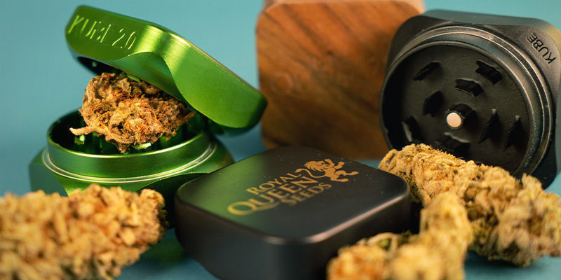 Młynek – design Młynek – design