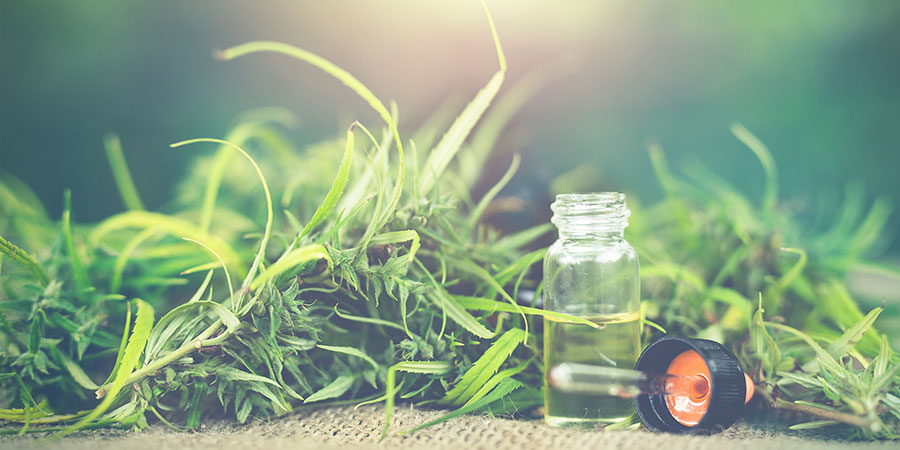 Korzyści z nalewek Korzyści z nalewek