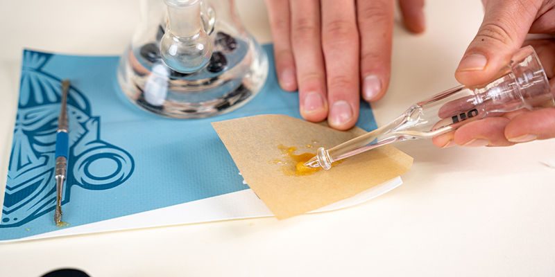 Nasz ostateczny przewodnik po dabowaniu to dopiero początek