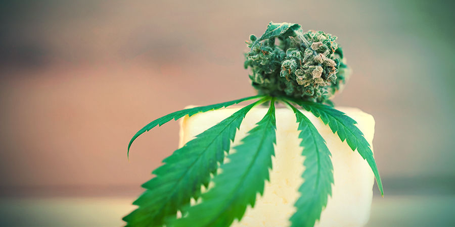 Big Buddha Cheese: Smak i działanie BIG BUDDHA CHEESE: FLAVOUR & EFFECTS