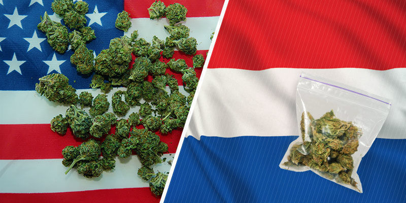 Skąd wziął się Skunk?