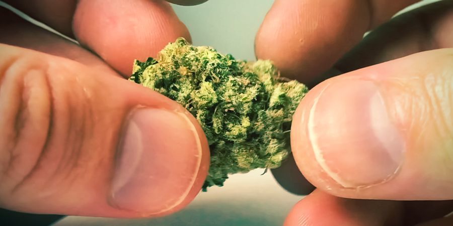 Dotyk: Sticky Icky Dotyk: Sticky Icky