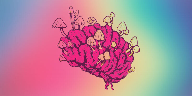 Najnowsze odkrycia na temat wpływu grzybków halucynków na mózg Najnowsze odkrycia na temat wpływu grzybków halucynków na mózg