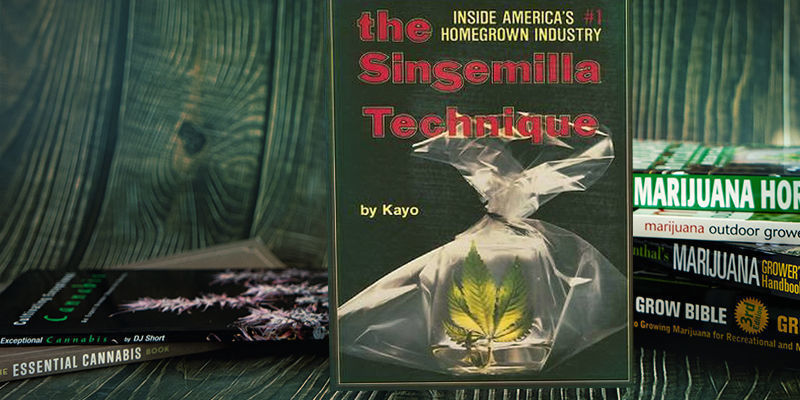 Technika sinsemilli The Sinsemilla Technique