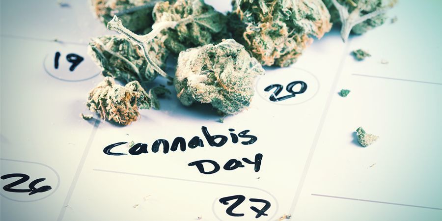 Kiedy kiełkować nasiona marihuany Kiedy kiełkować nasiona marihuany