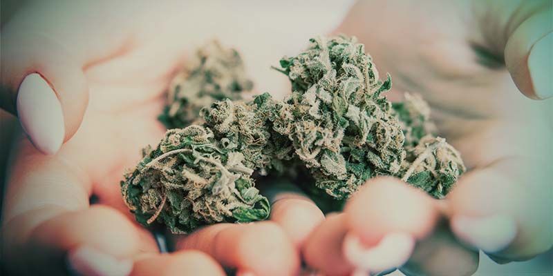 Czym są popcorn buds?