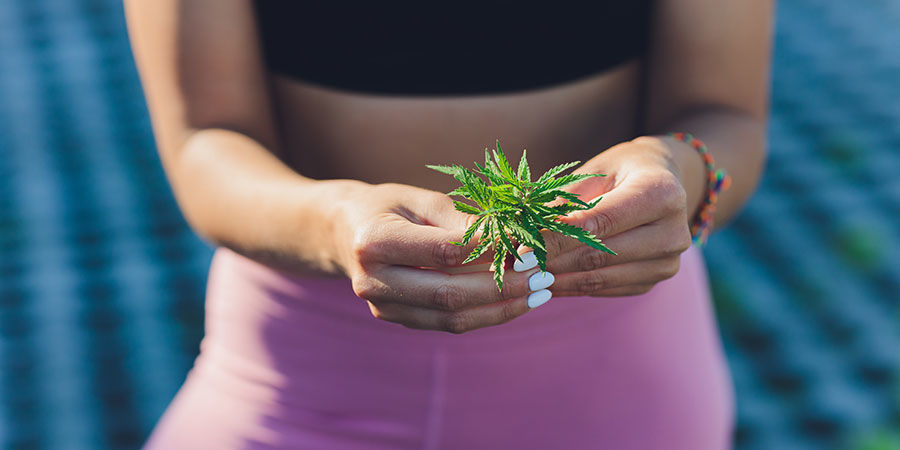 Weed And Sports Weed and sports