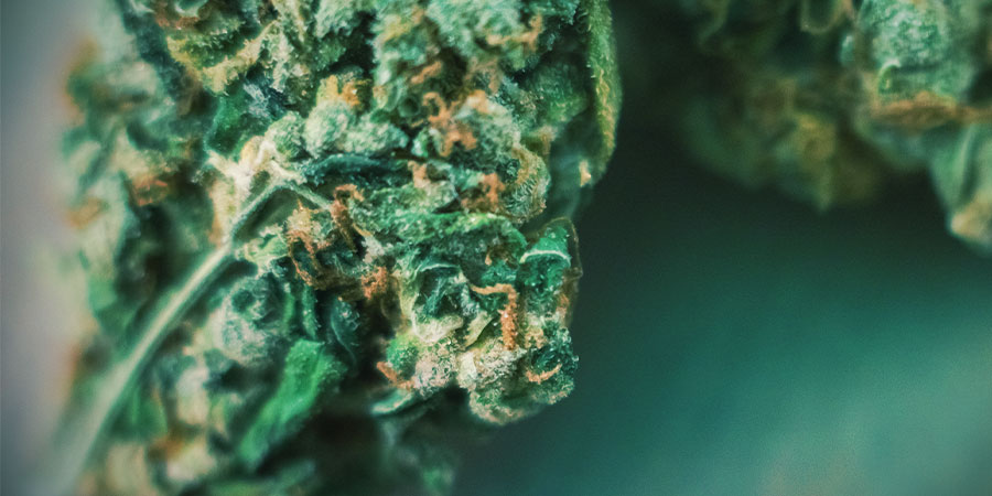 Wygląd może powiedzieć wiele WYGLĄD MÓWI WIELE