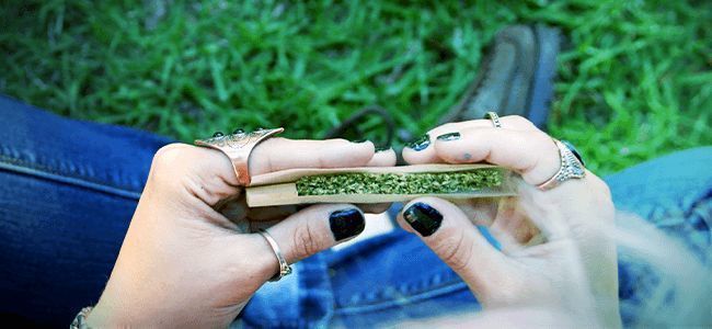 Cannabis Blunt Cannabis Blunt