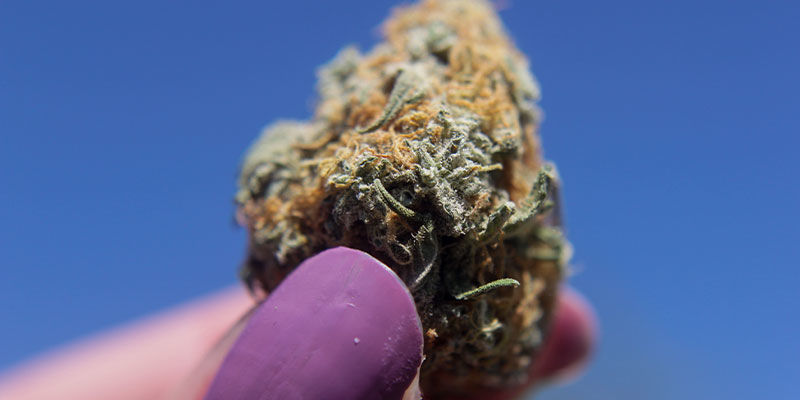 Im bardziej lepki, tym lepszy