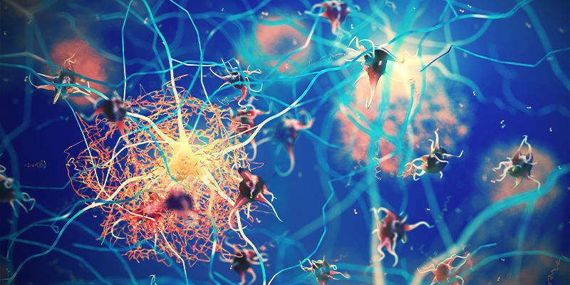 Konopie i funkcje poznawcze Konopie i funkcje poznawcze