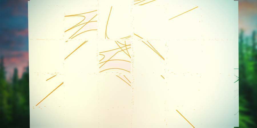 Interaktywne strony internetowe Interactive Websites