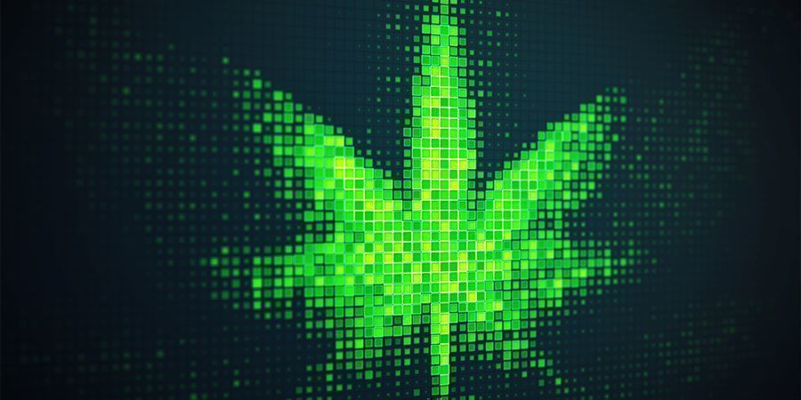 Często na haju, ale nigdy znudzony: internet to raj dla palaczy Często na haju, ale nigdy znudzony: internet to raj dla palaczy