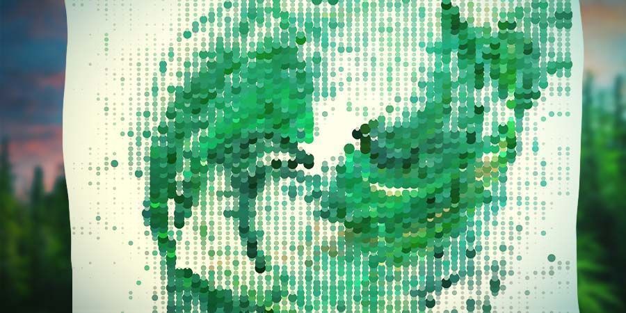 Bezużyteczne strony Bezużyteczne strony dla palaczy