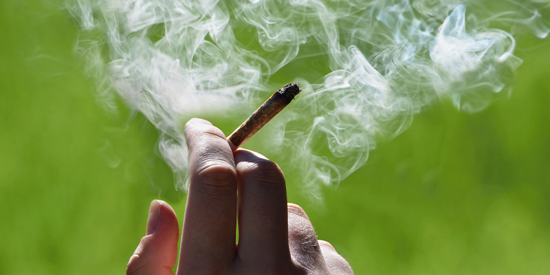 Can you smoke male cannabis plants?