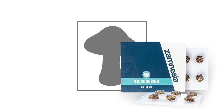 Mikrodawkowanie https://www.zamnesia.pl/34-smartshop/458-mikrodawkowanie